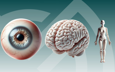 Occhi e postura: il legame invisibile che influenza l’equilibrio del corpo